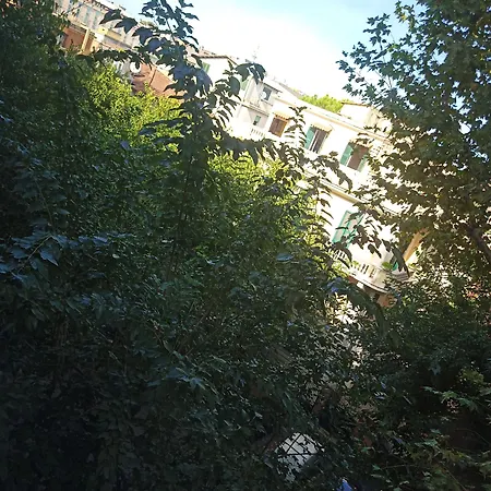 Seven Miracles 게스트하우스