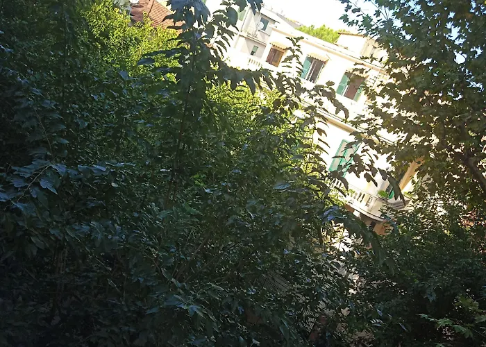 Seven Miracles 招待所